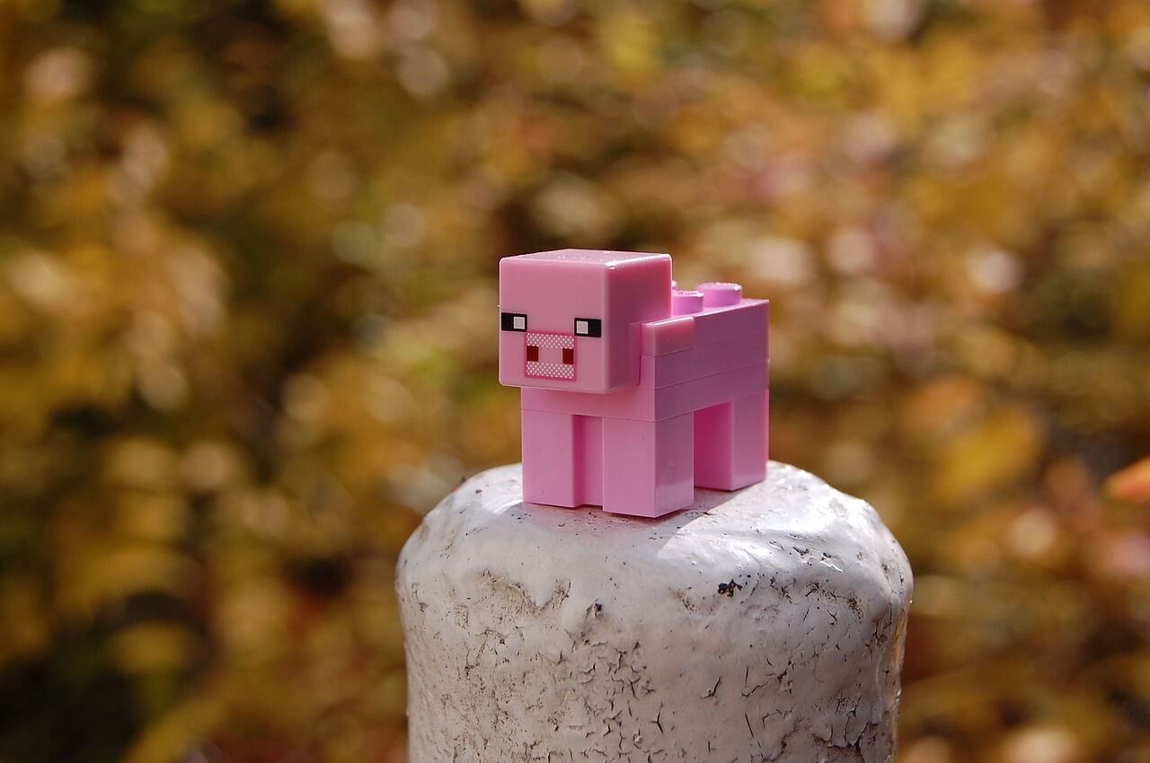 Minecraft Pig - niewidzialna usterka w bloku Minecraft